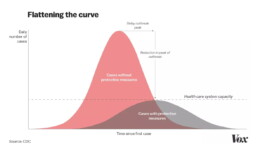 Flattening the curve, Vox version