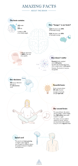 Eight amazing facts about the brain infographic