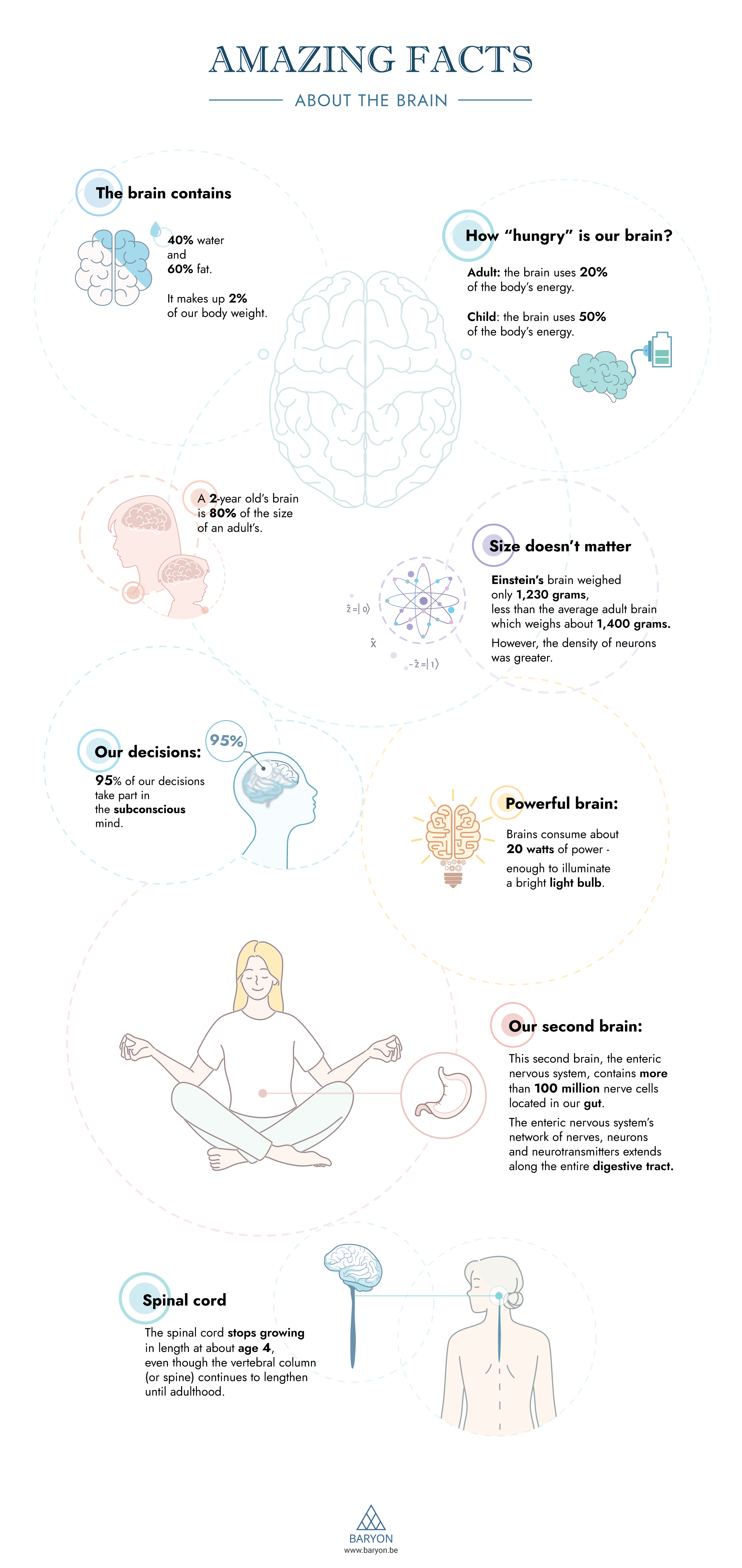 infographic-amazing-facts-about-the-brain-baryon